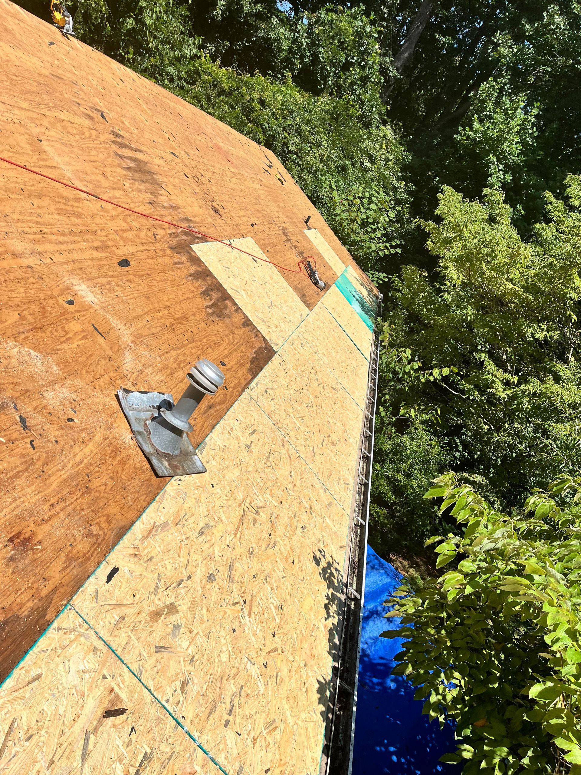 Roof under construction beside dense green trees, with plywood and shingles visible.