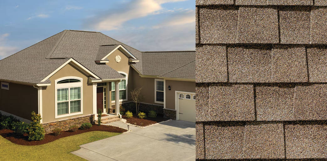 Single-story suburban house with beige siding and a shingled roof; close-up of textured roof tiles