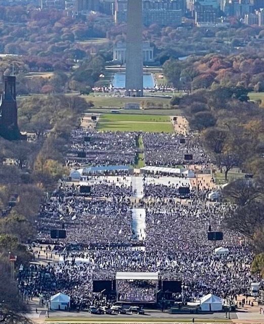 Crowd of people at the March for Israel