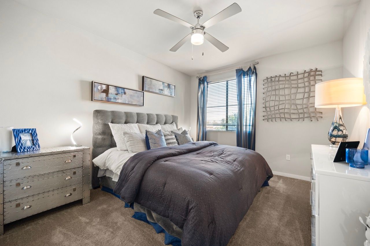 Bedroom in an apartment featuring a gray upholstered bed, dresser, and blue-curtained window.