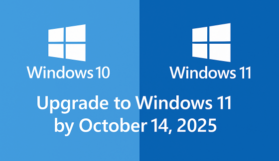 Windows 10 -- Windows 11 -- Venice, FL -- Paradise Computer Repair & Services -- IT -- Upgrade