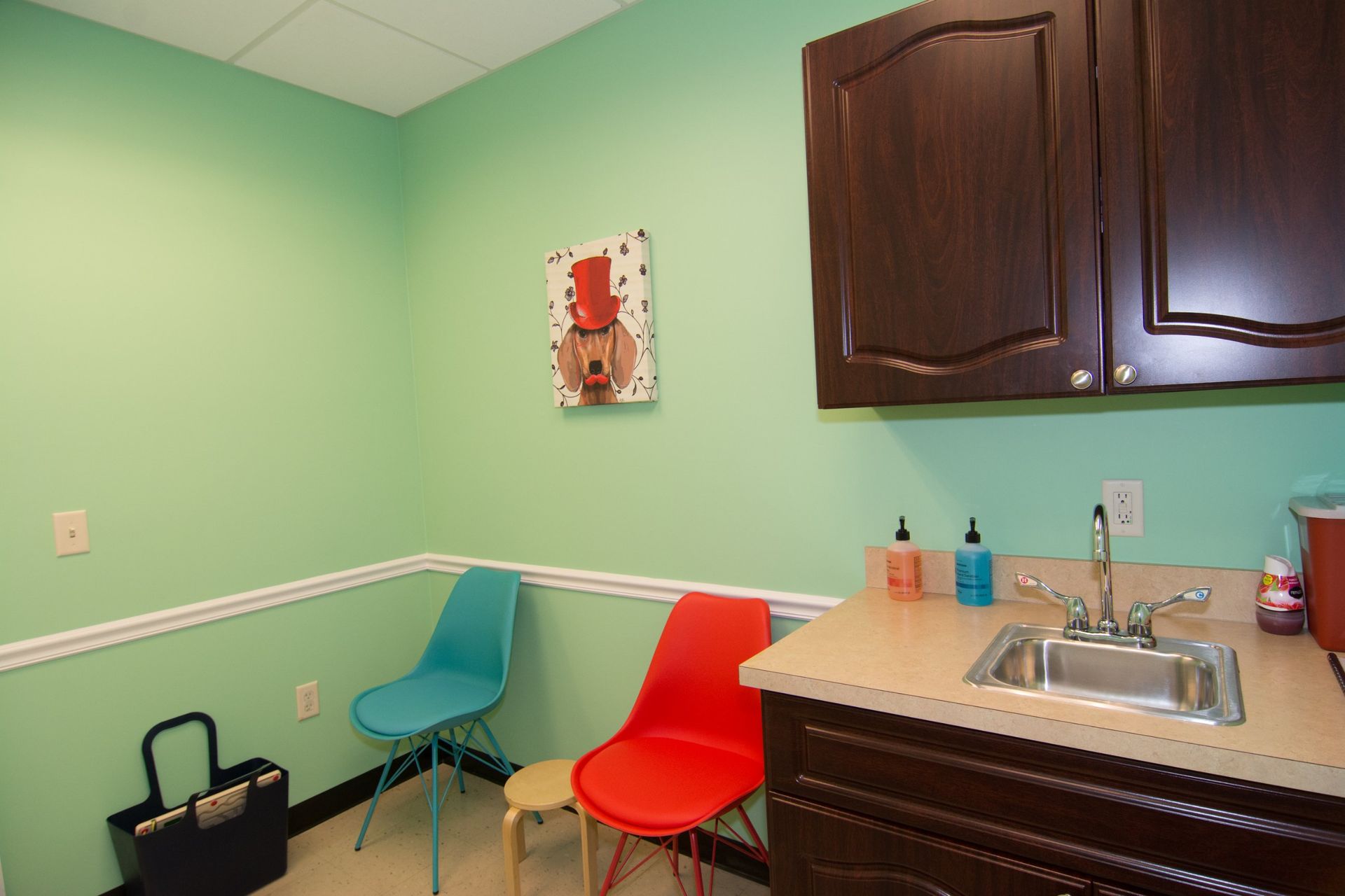 Photo of the consultation room, showing the sink, red and blue chair, green background and a square painting of dog