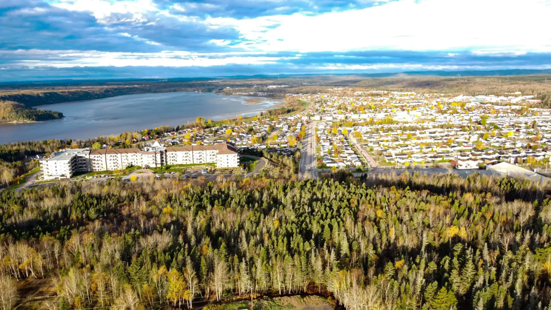 Vue aérienne d'une ville au bord d'une rivière, avec une forêt dense au premier plan et des montagnes à l'horizon.