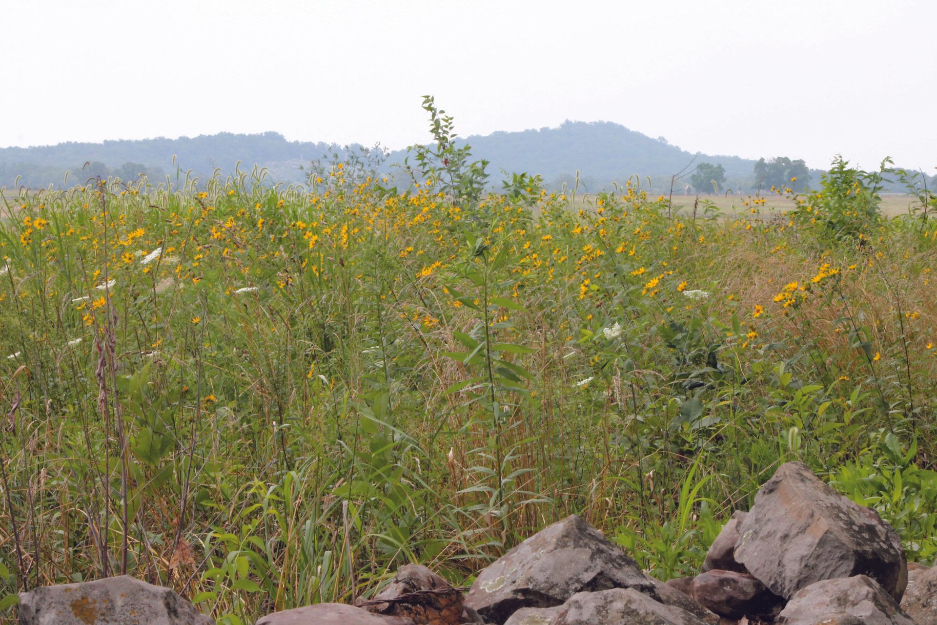 Little Round Top