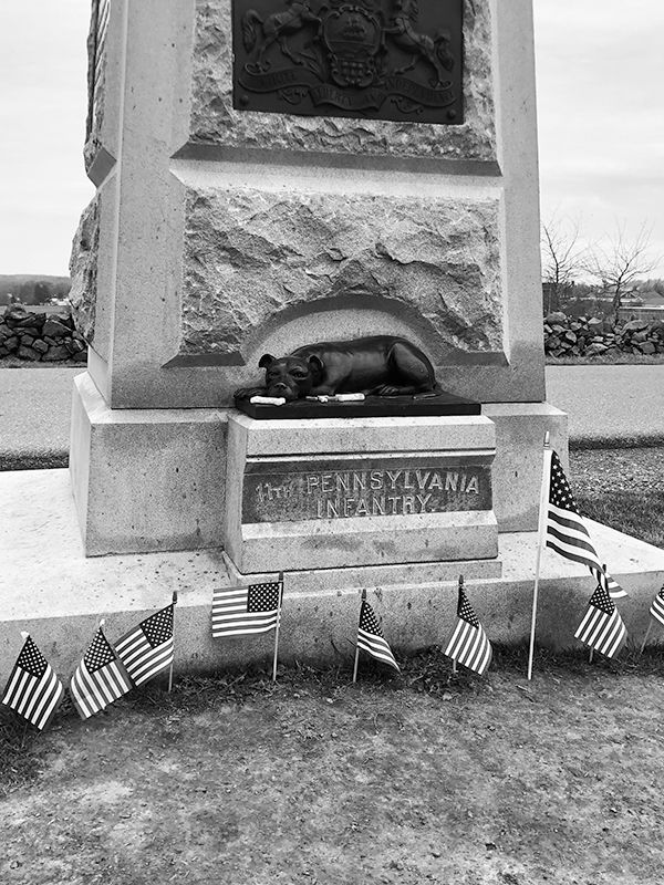 Sallie, the mascot of the 11th PA Infantry