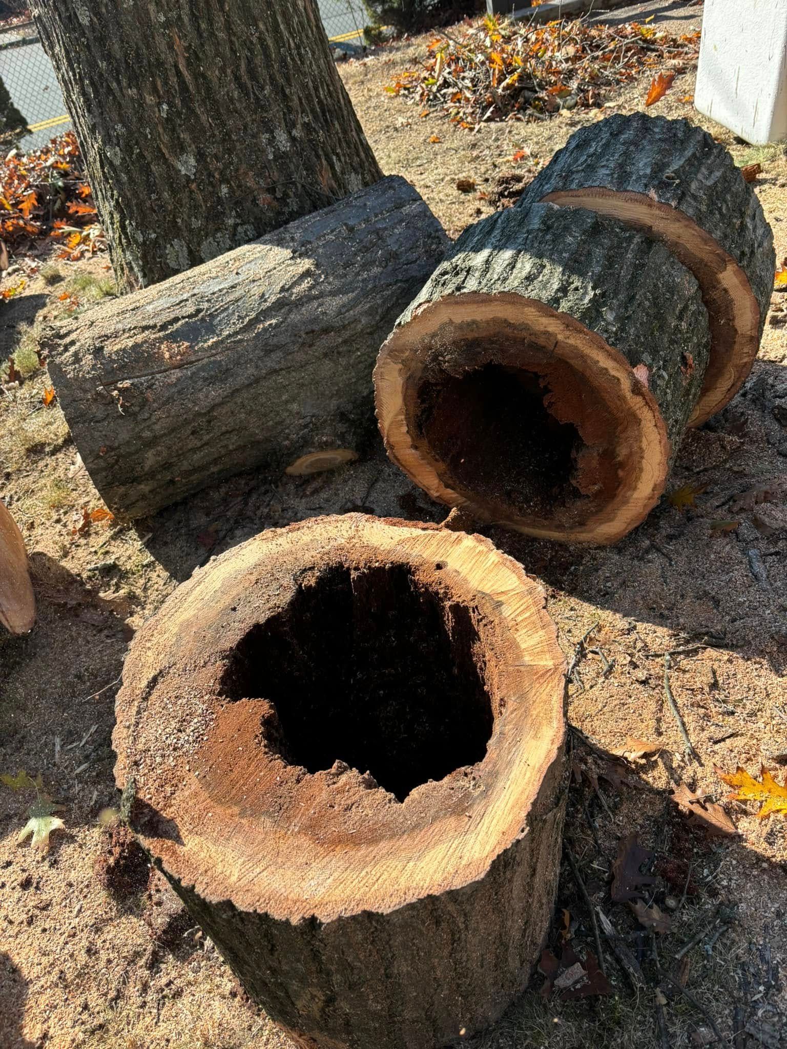 A pile of logs with holes in them are sitting on the ground.