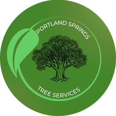 Portland Springs Tree Services Portland Springs Tree Services