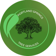 Portland Springs Tree Services