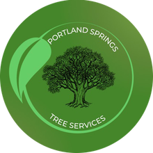 Portland Springs Tree Services
