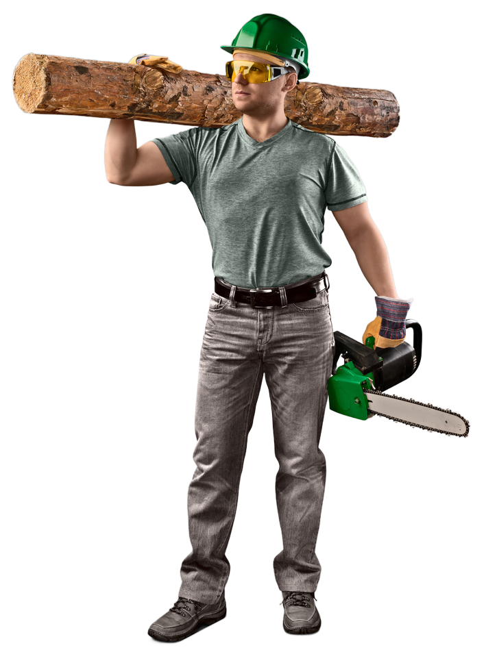 A man is carrying a log and a chainsaw on his shoulder.