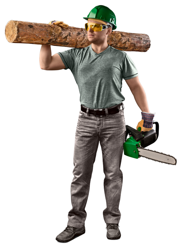 A man is carrying a log and a chainsaw on his shoulder.