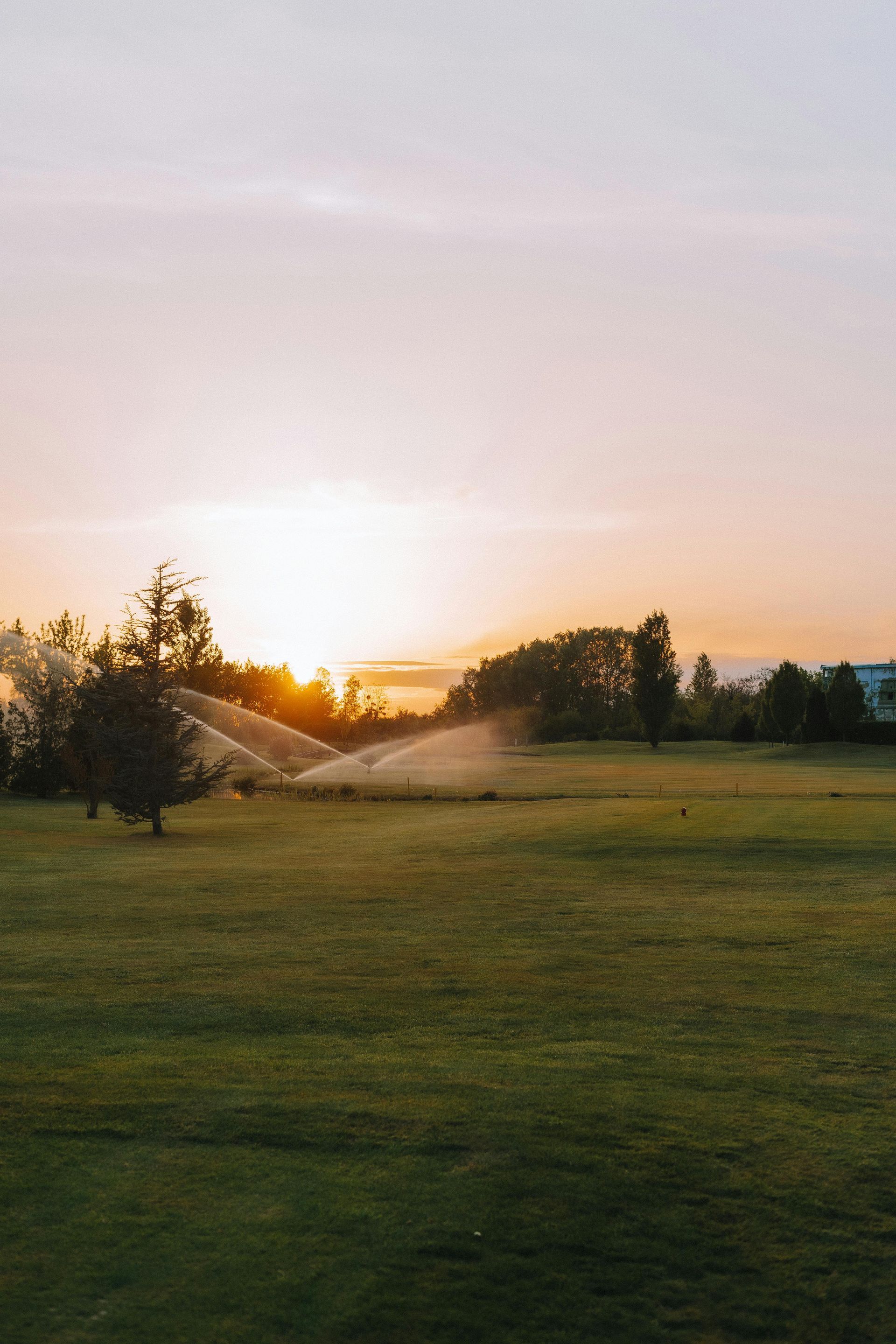 A sprinkler is spraying water on a lush green field at sunset.