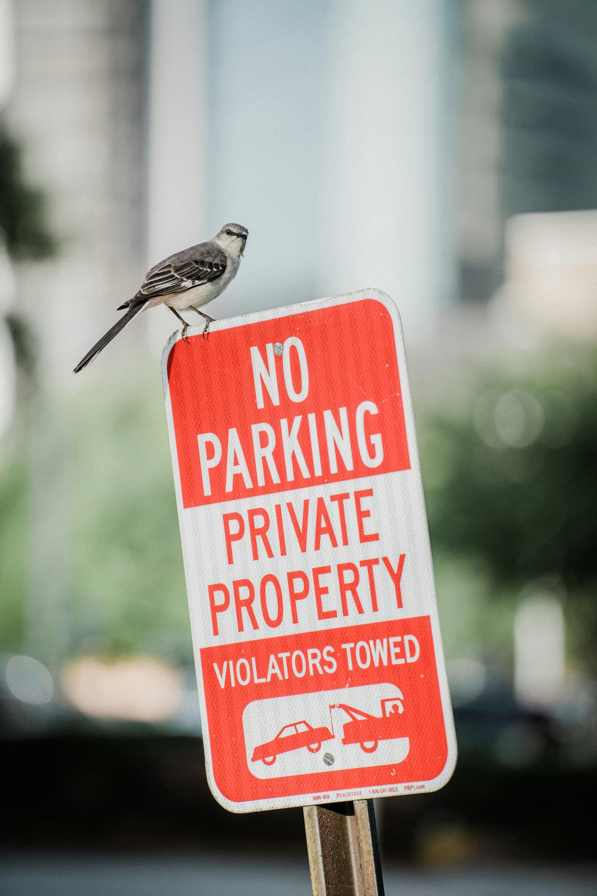 Bird perched on a 