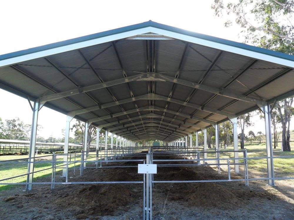Metal-framed, covered structure for animal stalls, outdoors. Grey roof, green trim, and metal railings— Northern Rivers Sheds in Byron Bay, NSW
