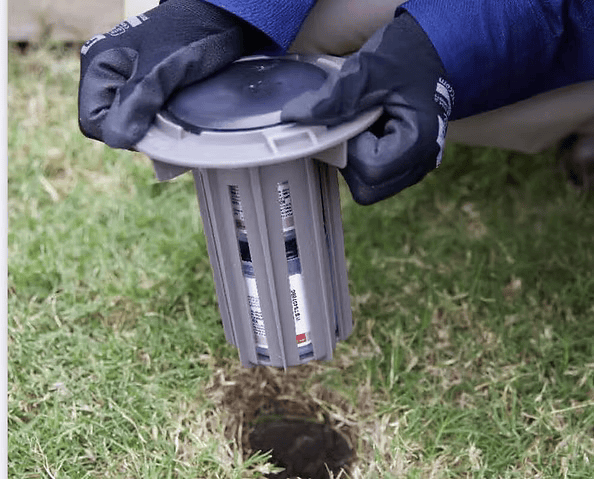 Gloved Hands Placing a Cylindrical Pest Trap Into a Hole in a Grassy Lawn — All Pest QLD In Sippy Downs, QLD
