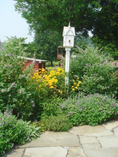 There is a birdhouse in the middle of a garden.