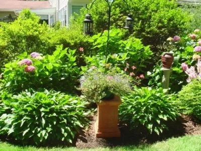 A garden filled with lots of plants and flowers