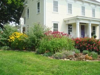 A white house with a blue door is surrounded by flowers and bushes