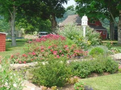 A garden with a red barn in the background