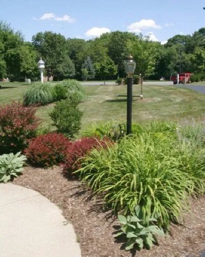 A lawn with a lot of plants and a lamp post