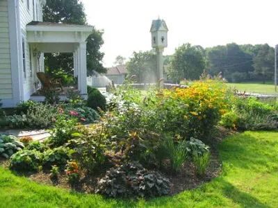 A house with a birdhouse in the backyard