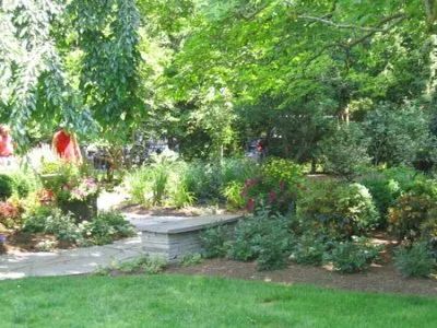A lush green garden with a bench in the middle of it