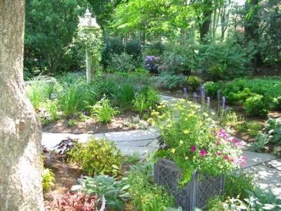 A path in a garden surrounded by trees and flowers