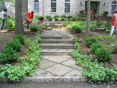 A man is raking plants in front of a house