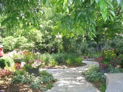 A path in a garden surrounded by trees and flowers