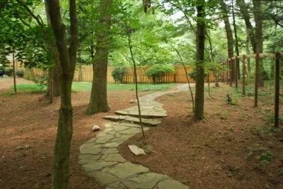 A stone path in the middle of a forest