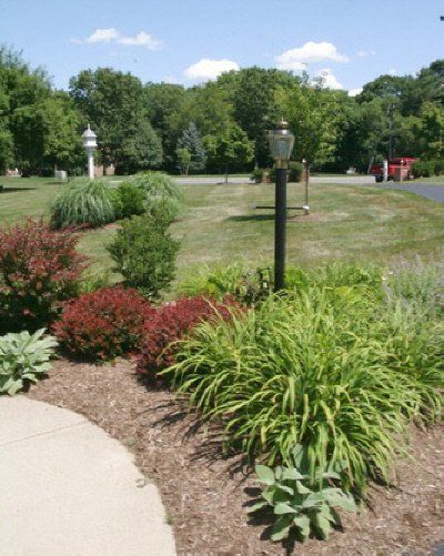 A park with a lot of plants and trees