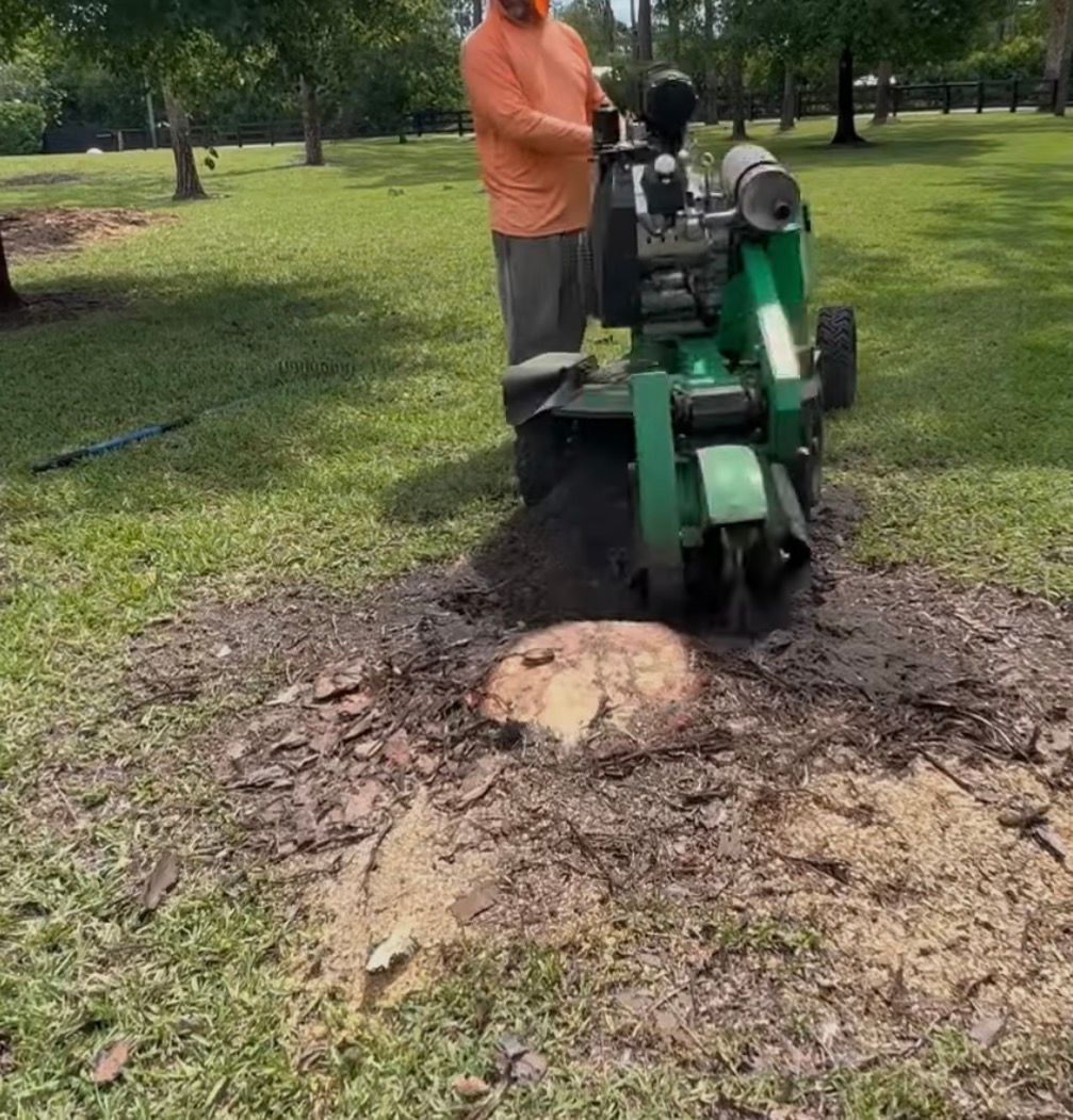Stump grinding in Fulshear, TX