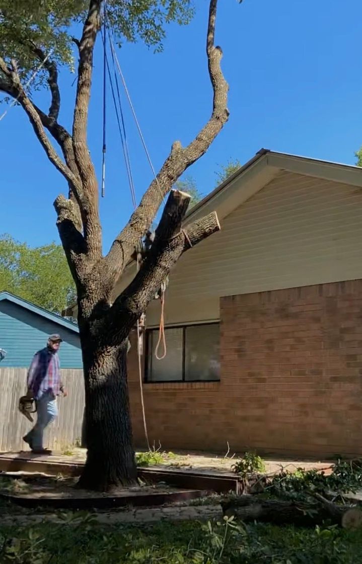 Tree Removal in Fulshear, TX