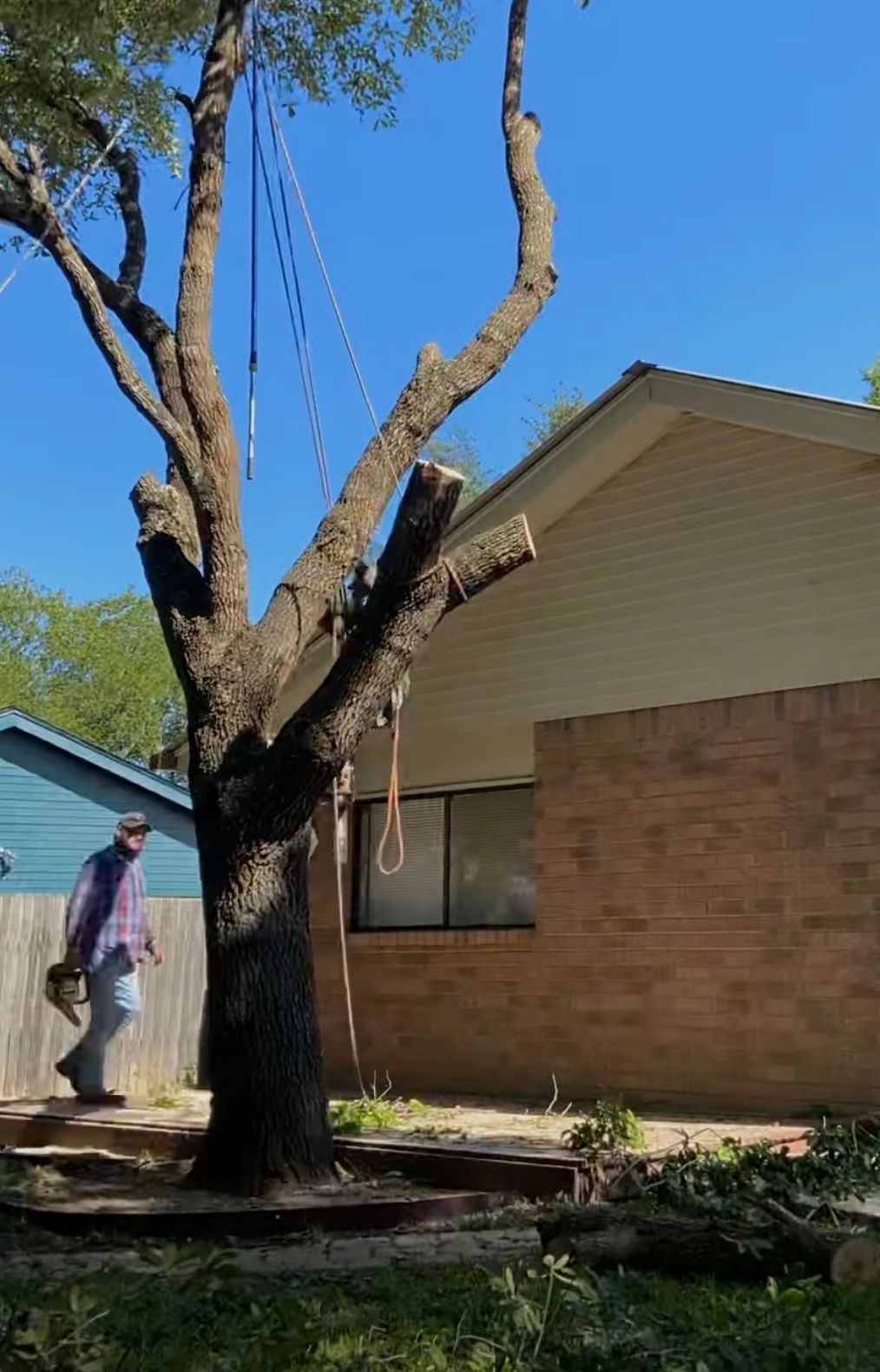 Tree Removal in Fulshear, Texas