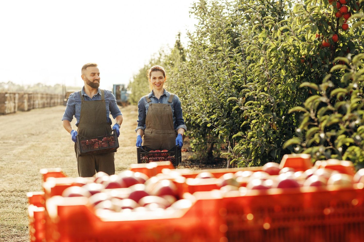 skilled farm workers