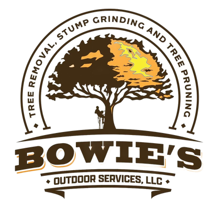 Bowie's Outdoor Services logo with tree, sunset colors, and tree removal, stump grinding, and pruning text