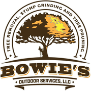Bowie&rsquo;s Outdoor Services logo with tree silhouette and text for tree removal, stump grinding, and pruning