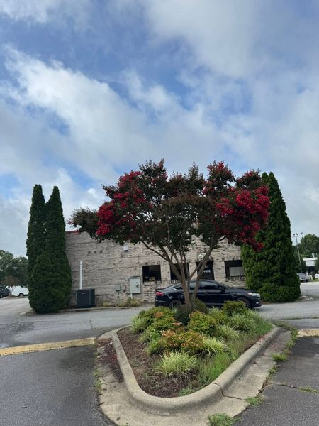 Stone building with red flowering tree and tall cypress shrubs beside a driveway under a cloudy sky