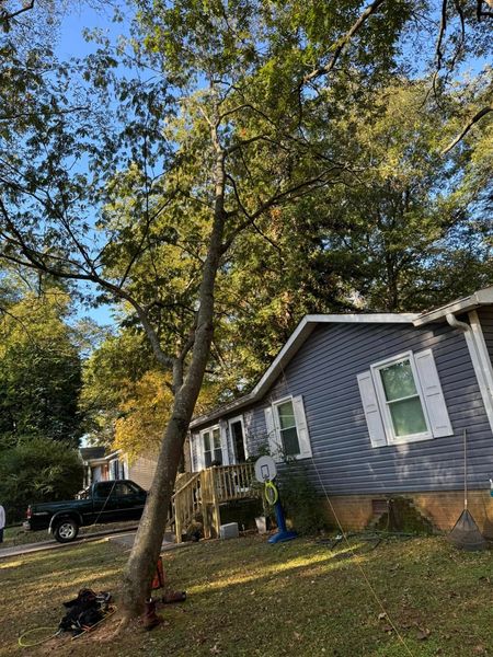 Blue house with white shutters under tall trees on a sunny day, with a car parked nearby.