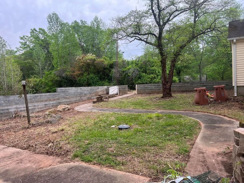 Backyard with curved concrete path, grassy yard, stone wall, and trees