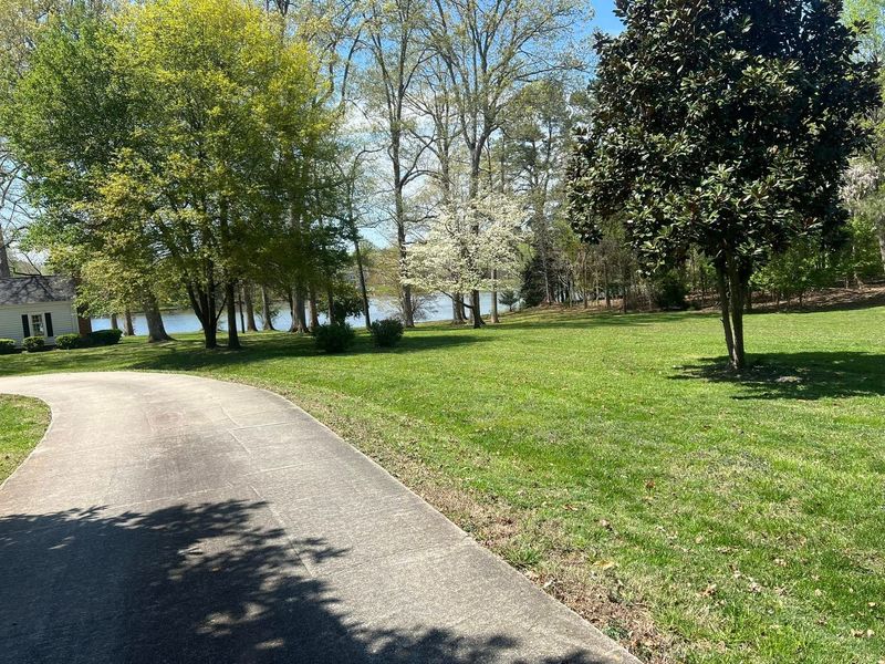 Curving paved path through a grassy park with leafy trees on a sunny day
