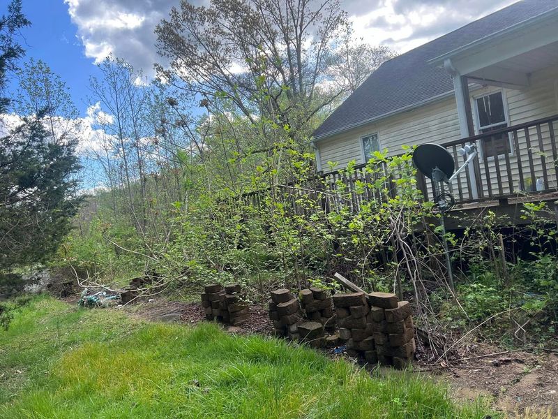 House with overgrown garden and stacked logs under a blue sky