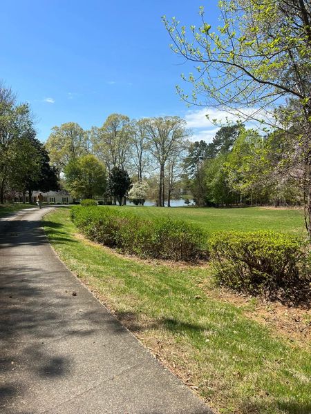 Park path beside green lawn and trees under a bright blue sky
