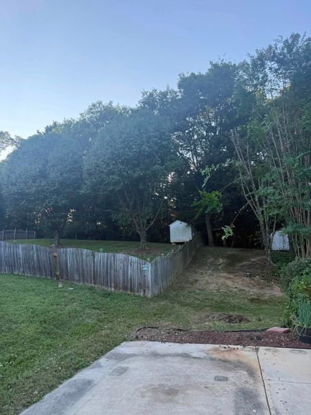 Grassy yard with a wooden fence, large trees, and a concrete driveway under a bright sky