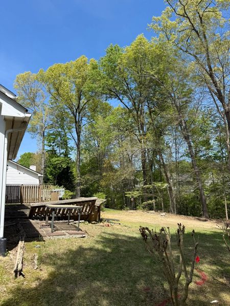 Backyard with trees, patio furniture, and a white house under a bright blue sky