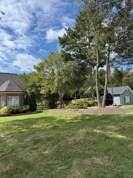 Sunny suburban yard with trees, a stone flower bed, and two houses under a partly cloudy sky