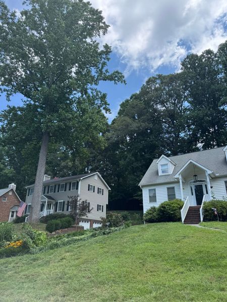Two houses on a grassy hill with tall trees and a partly cloudy sky