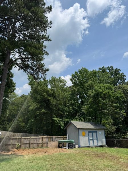 Backyard with a small shed, wooden fence, trees, and a partly cloudy sky