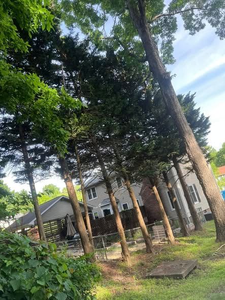 Wooded yard with tall trees and a white house in the background under a cloudy sky