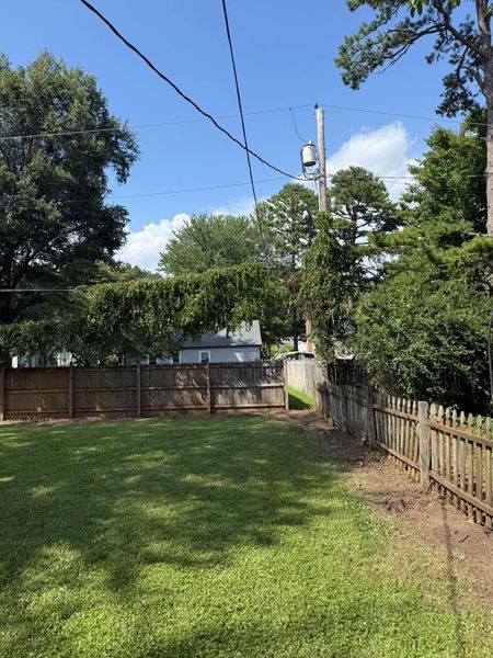 Backyard with grass, wooden fence, trees, and a utility pole under a blue sky